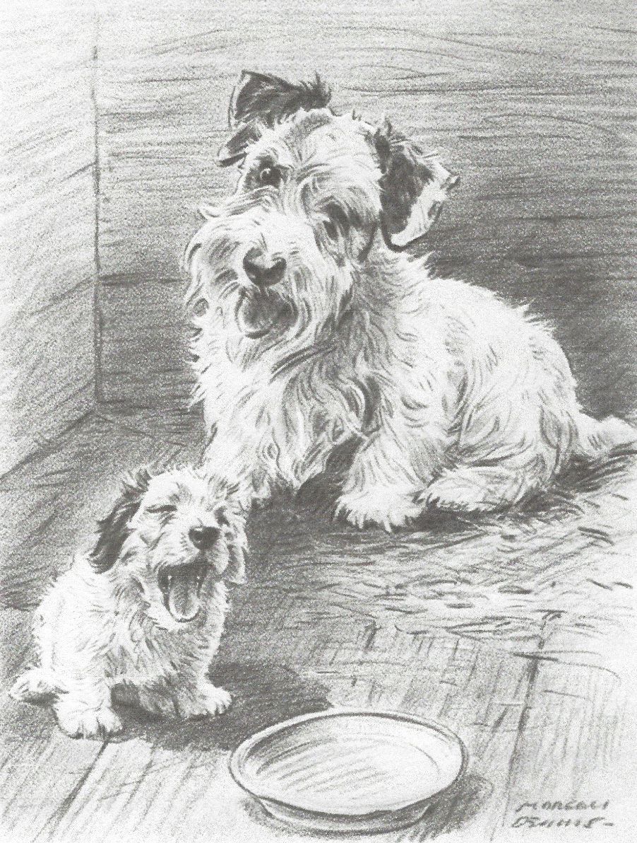 * Sealyham Terrier w/Pup - Dog Art Print - Dennis \