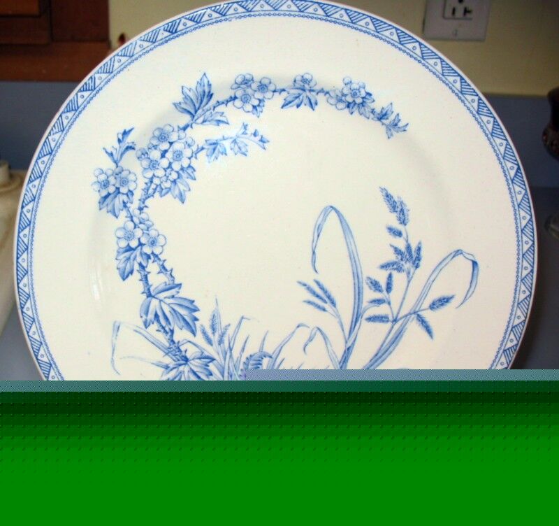 Lovely Aesthetic 1883 BLUE FLORAL HAWTHORN DINNER PLATE, T G & F Booth  England