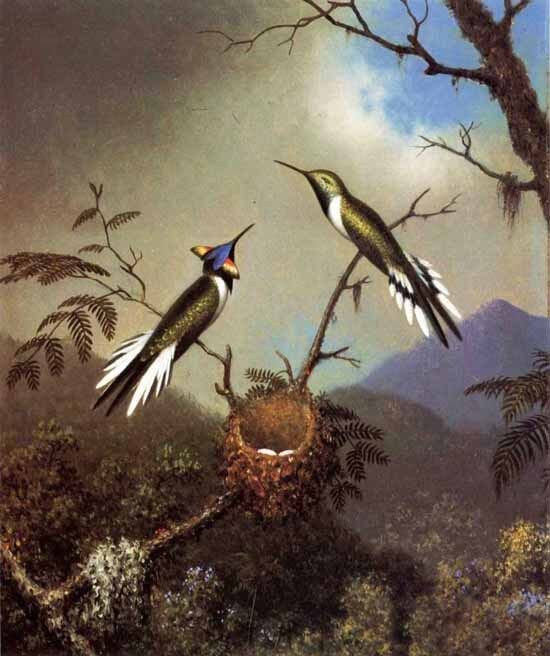 Huge Oil painting Martin Johnson Heade - Hummingbirds at Their Nest - Sun Gems