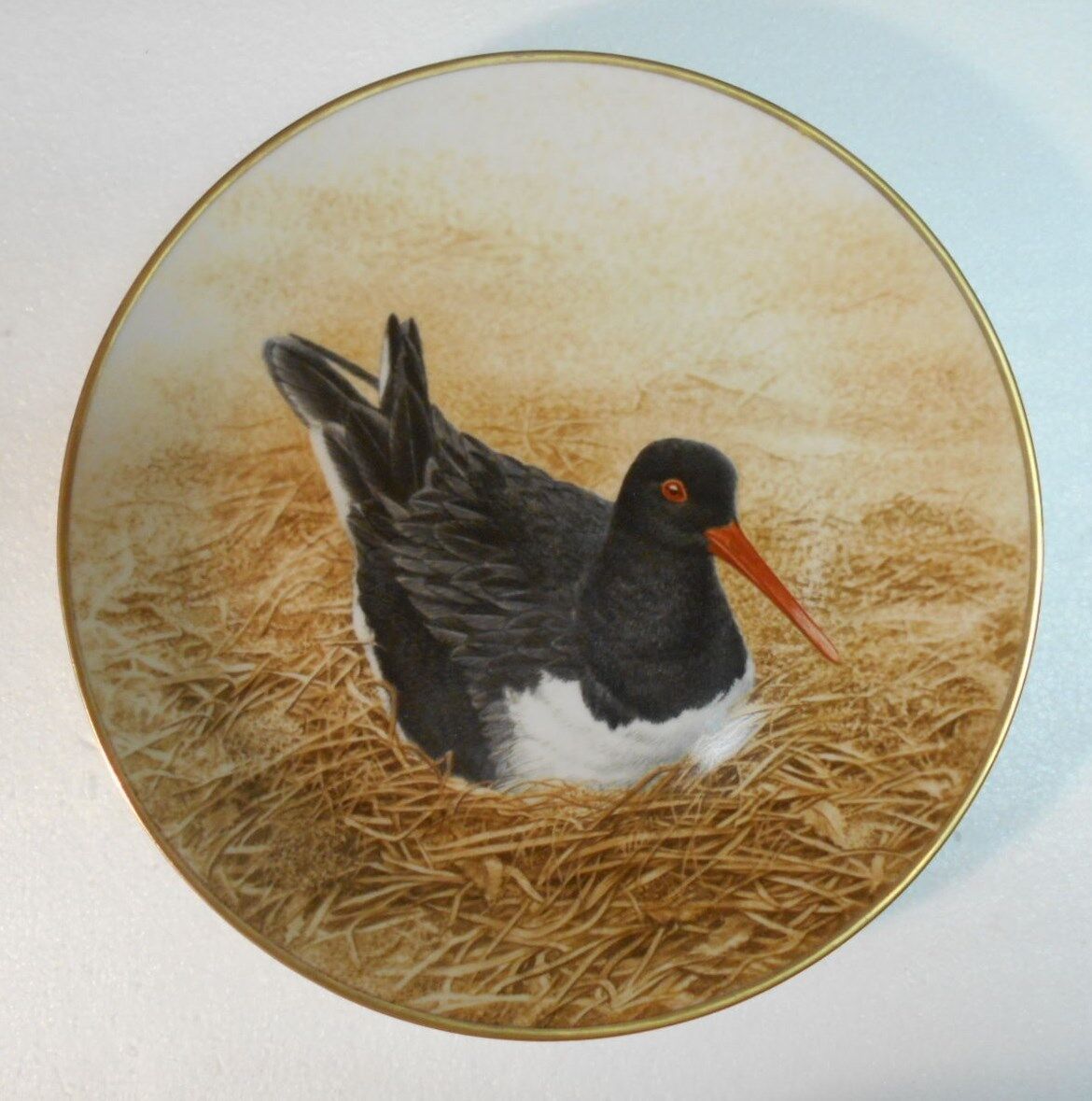 Collector Water Bird Plate Eric Tenney OYSTER-CATCHER 24K gold rim Porcelain 