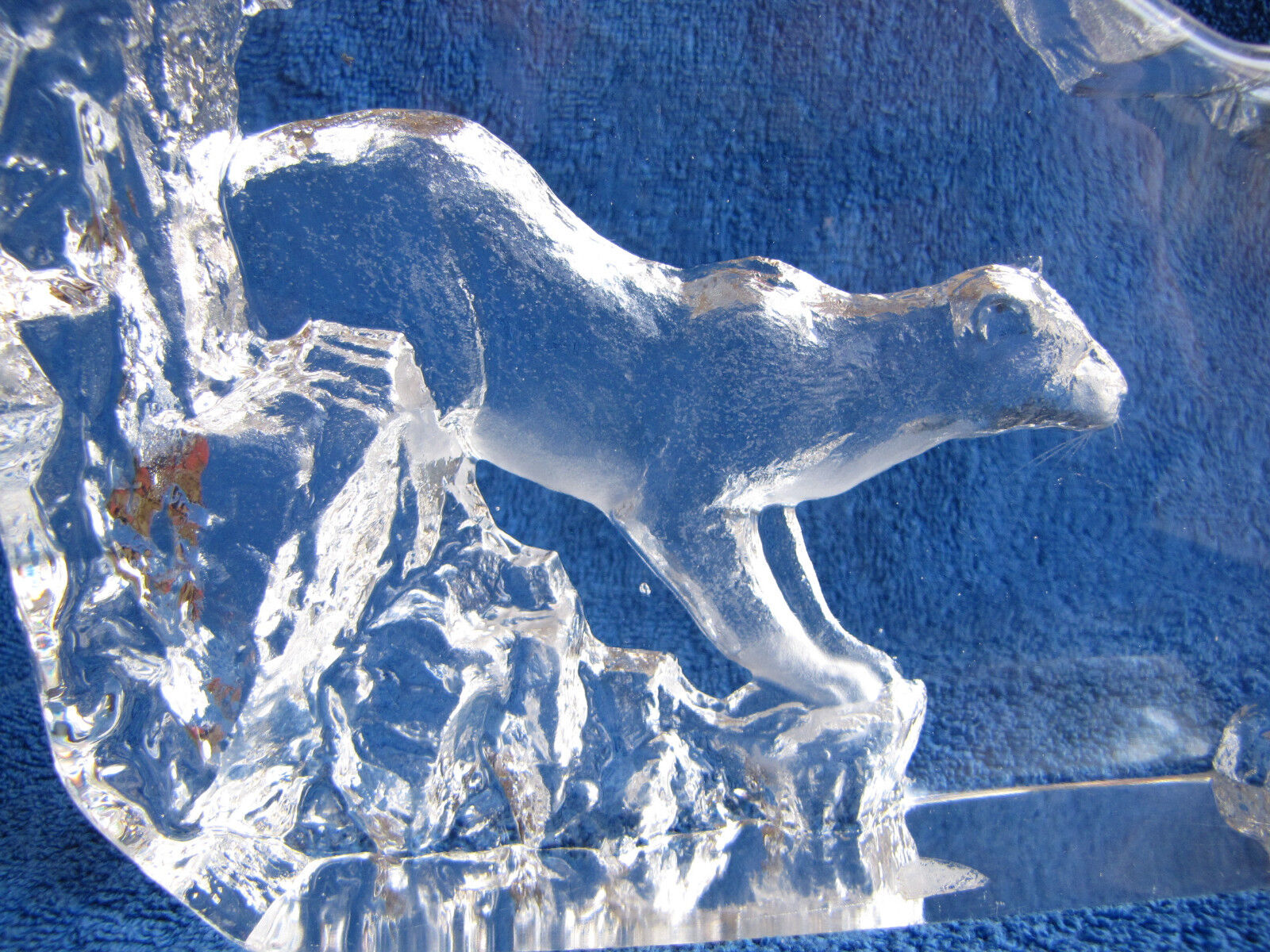 Sweden Kosta Orrefors Art Glass figurine animal PUMA cheetah WWF BIG paperweight