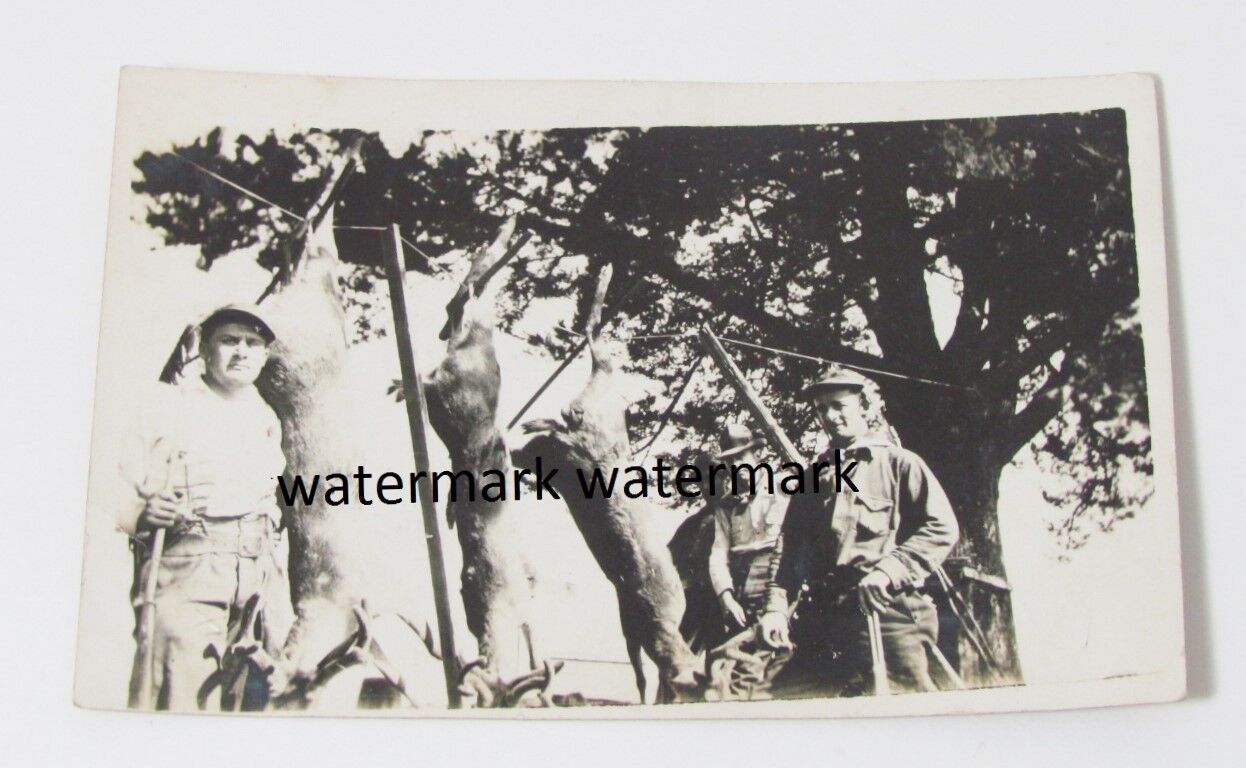 Vtg 1940\'s Old RPPC Real Photo Postcard Hunters w/ Rifles & Deers Deerhunters