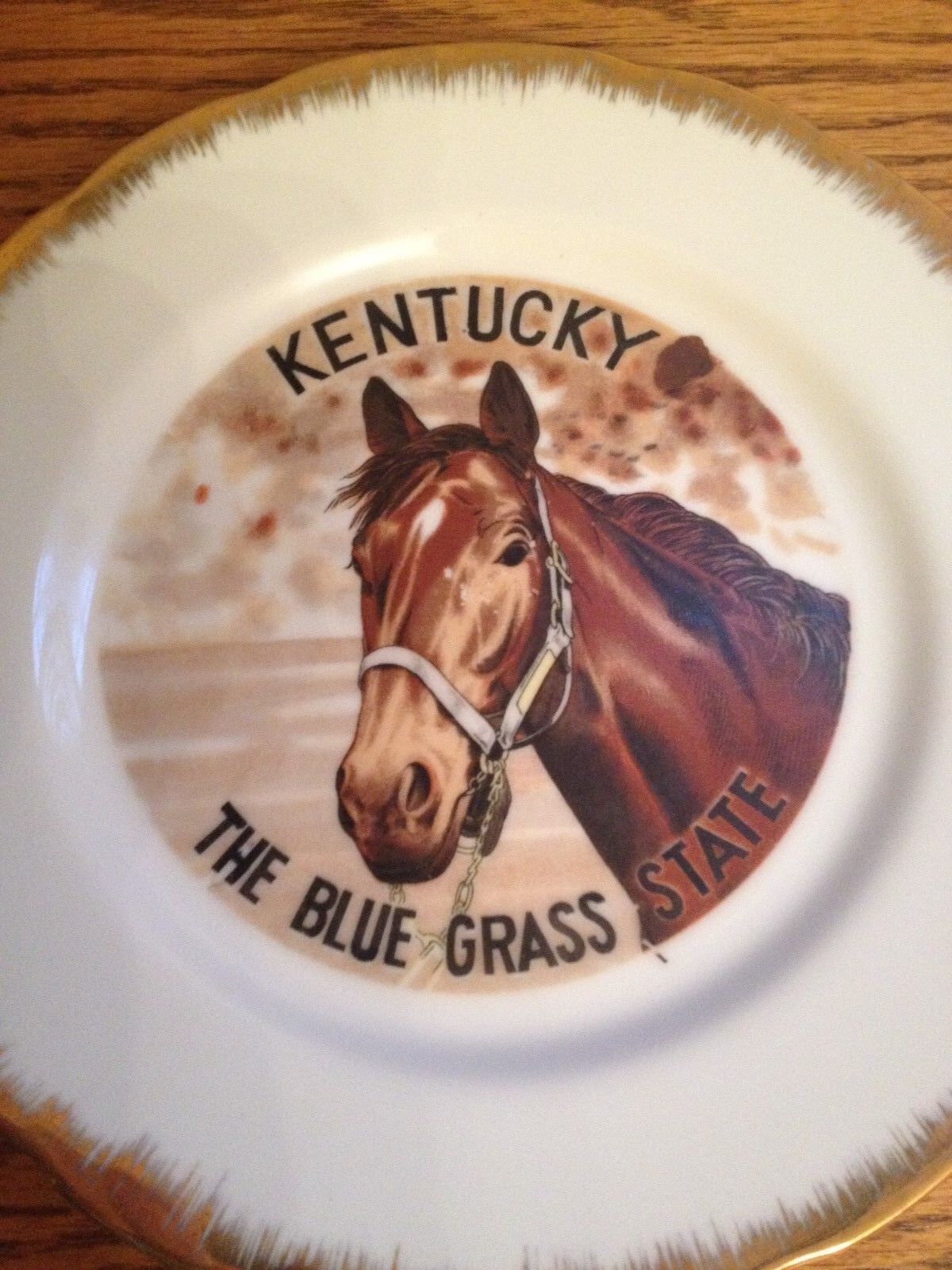 Vintage KENTUCKY Horse Collector Souvenir Plate \