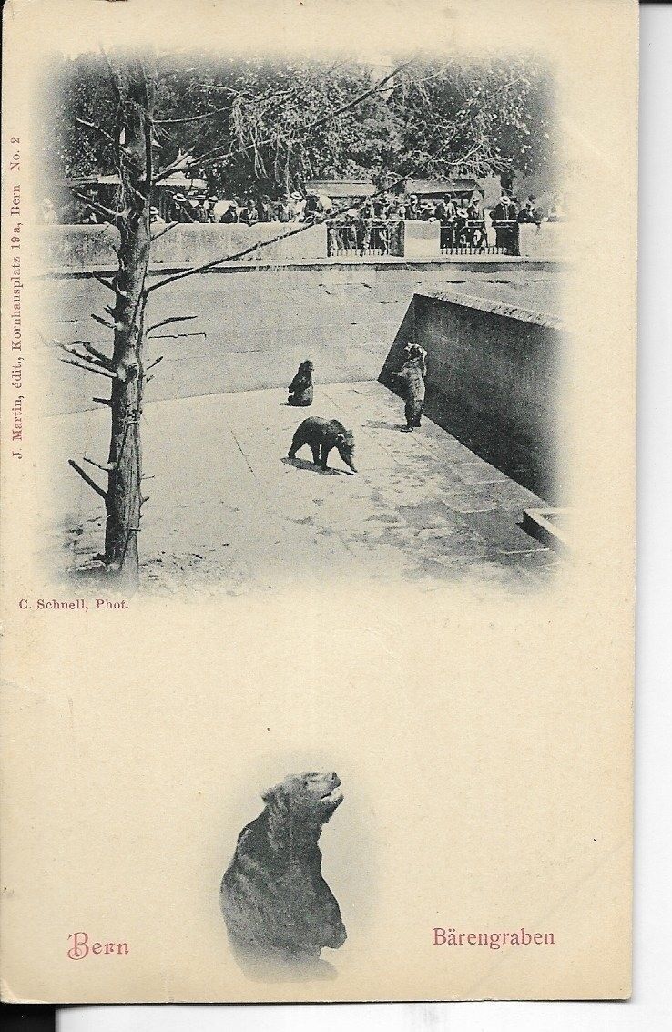 teddy roosevelt teddy bear postcard,boen bear garden,switzerland early 1900s
