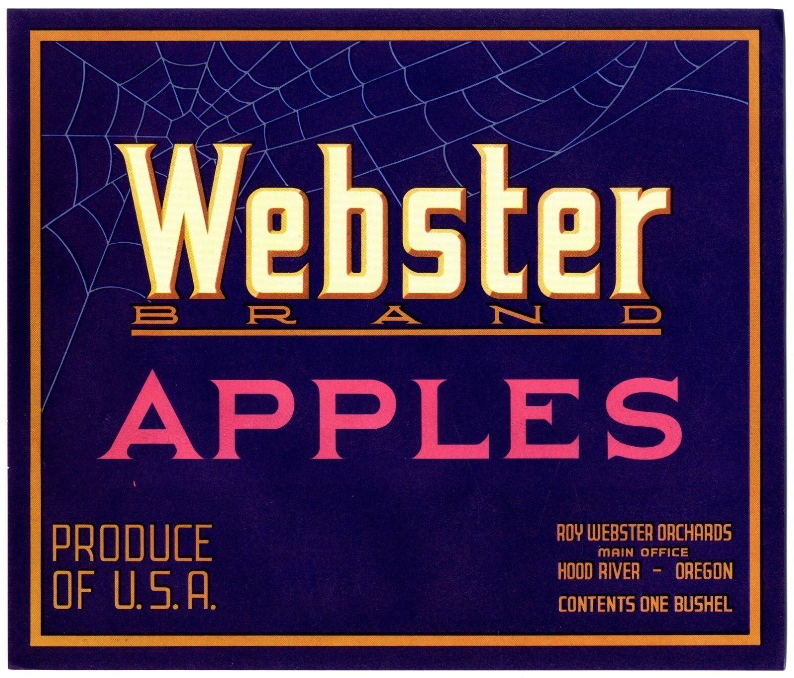 WEBSTER BRAND~ORIGINAL 1940s HOOD RIVER OREGON AUTHENTIC APPLE FRUIT CRATE LABEL