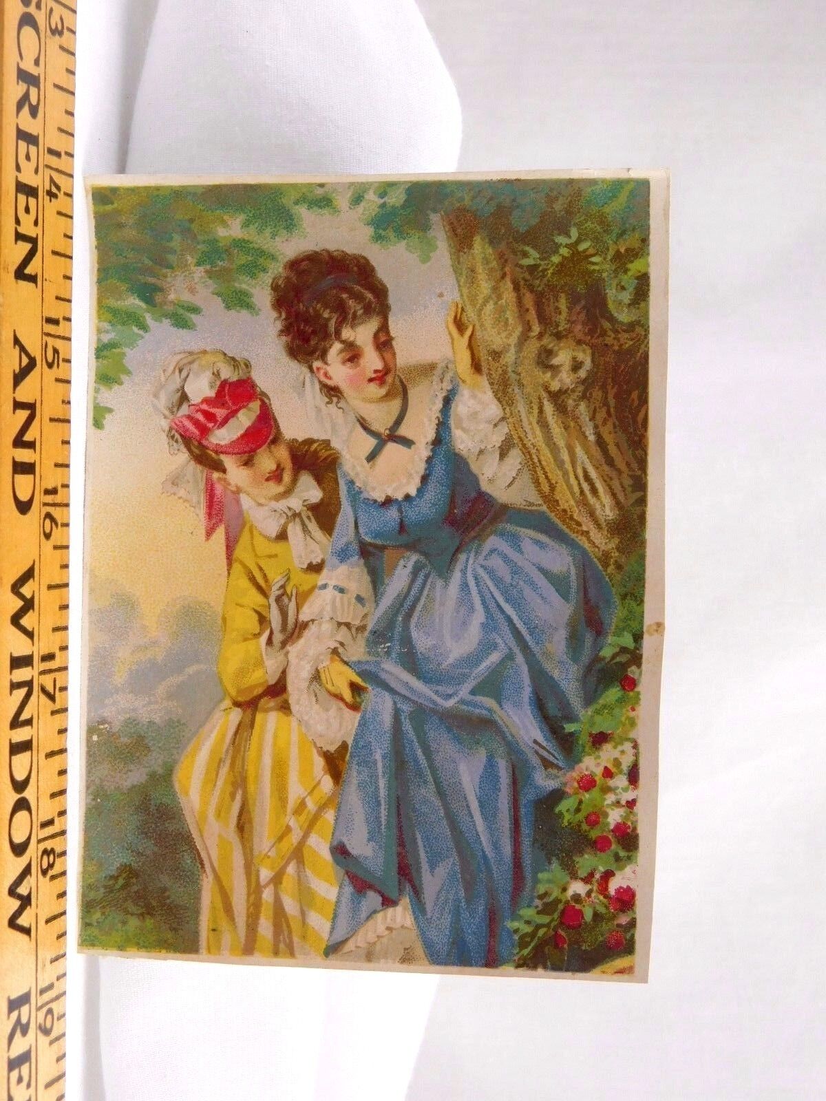 Victorian Trade Card Pretty Ladies Fancy Dresses Woods Tree Flowers F41