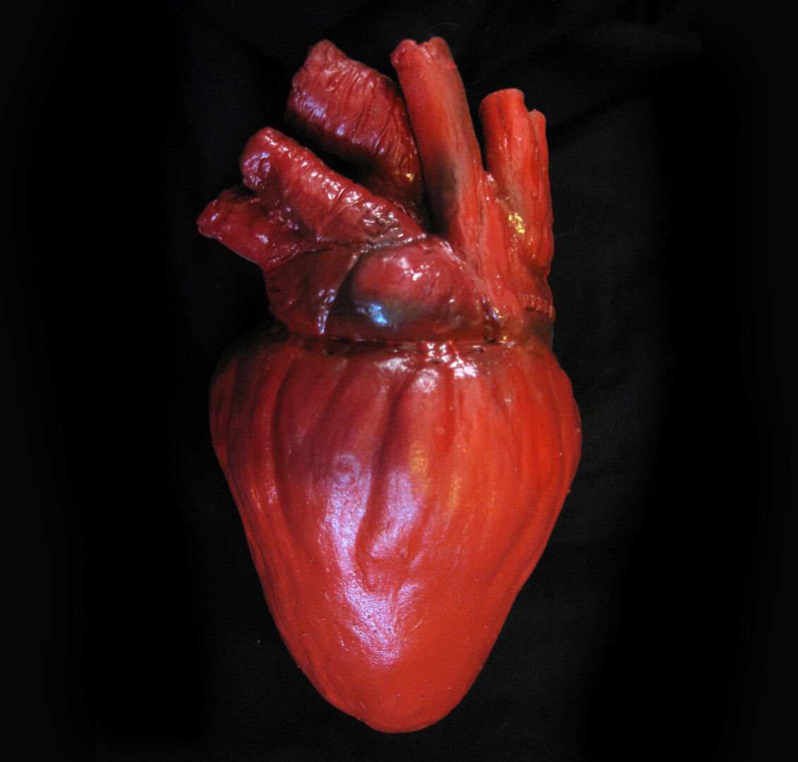 Large Lifesize Human Heart Body Parts Scary Bloody Zombie Halloween Party Prop