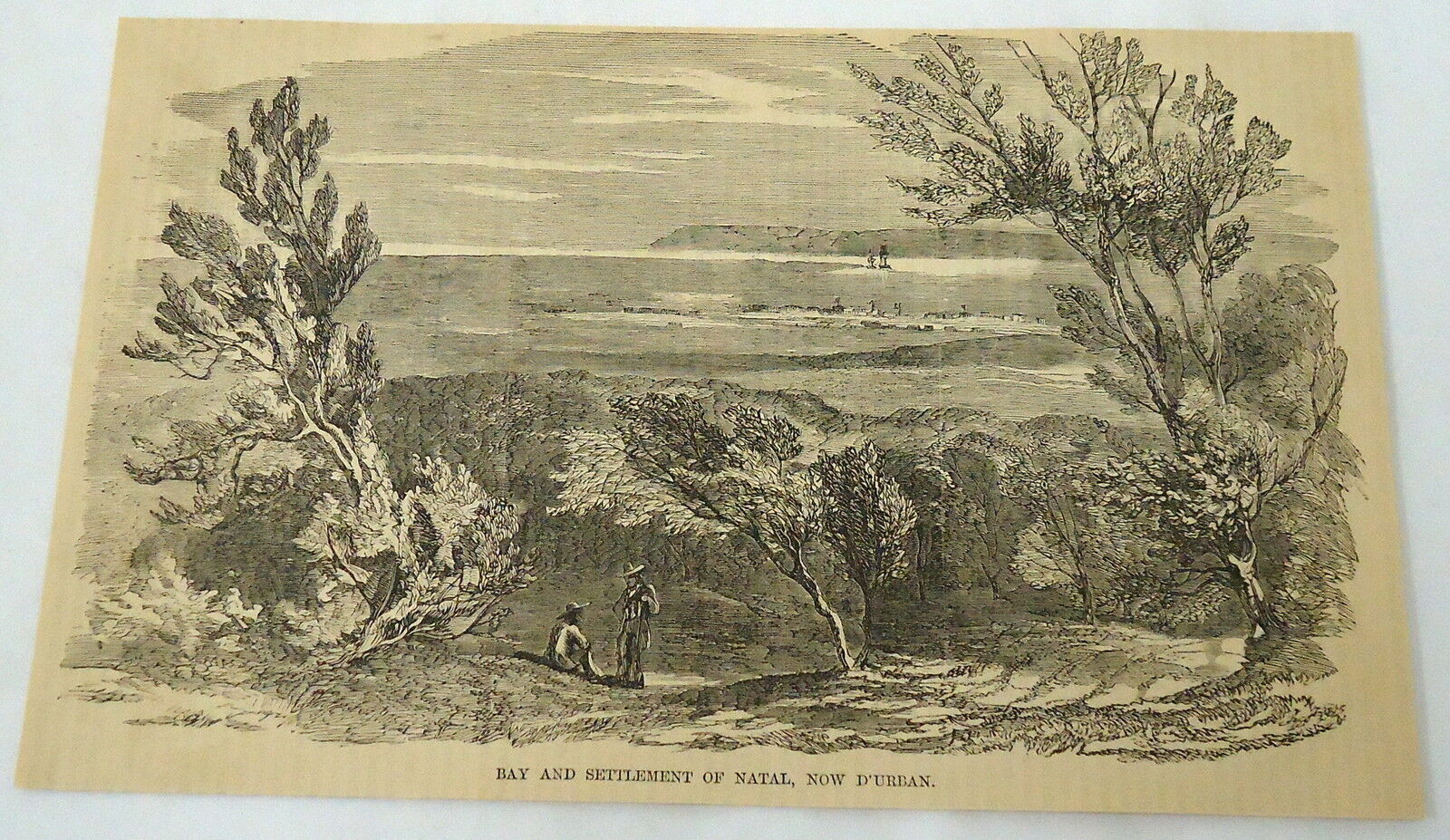 1859 magazine engraving~ BAY & SETTLEMENT OF NATAL, now D\'urban~ South America