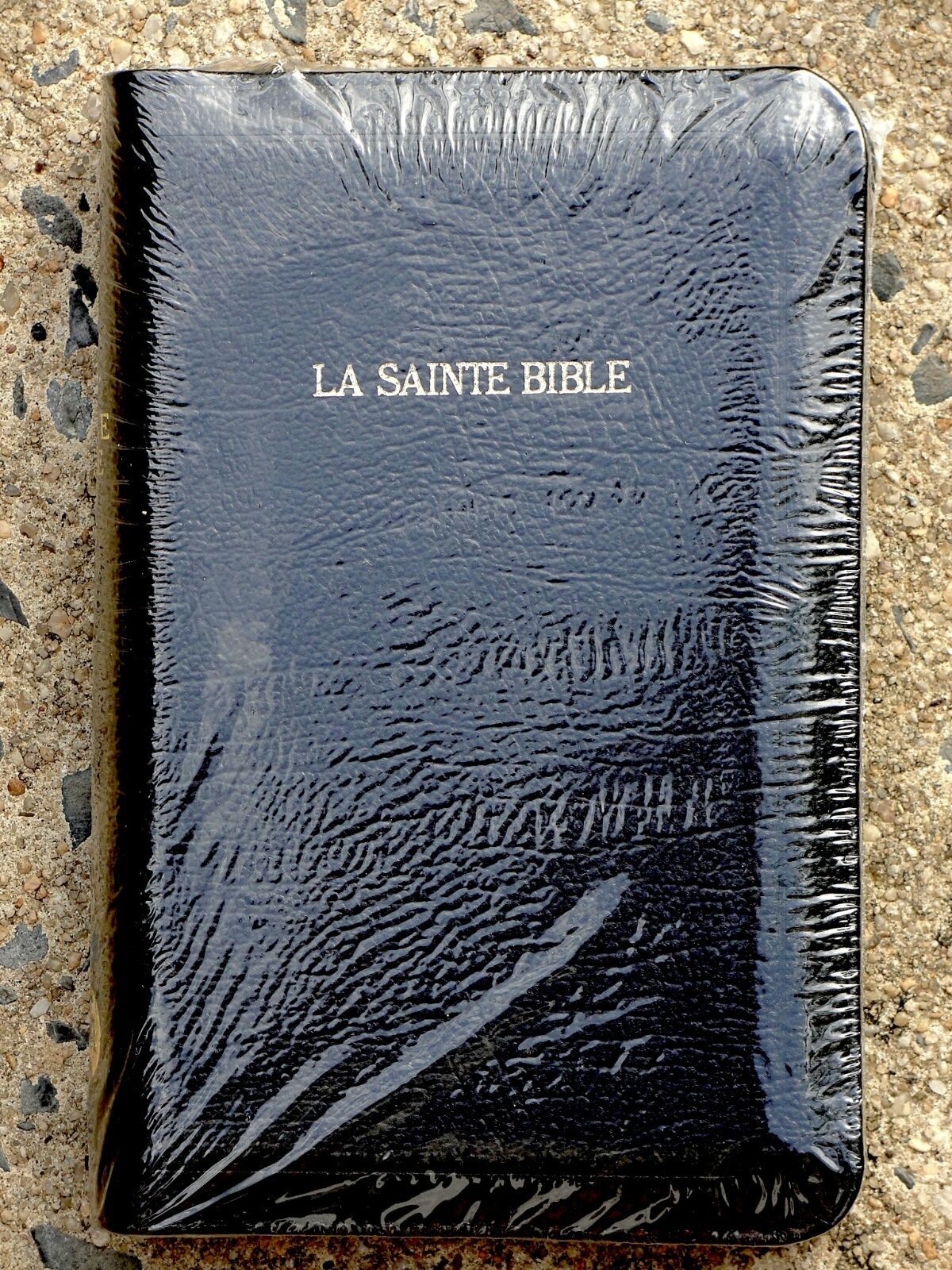 French Bible, La Sainte Bible - Louis Segond 1910 Leather, Black, Handheld f/s