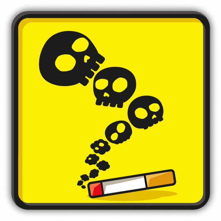 Smoking Kills Warning Sign Funny Car Bumper Sticker Decal 5\