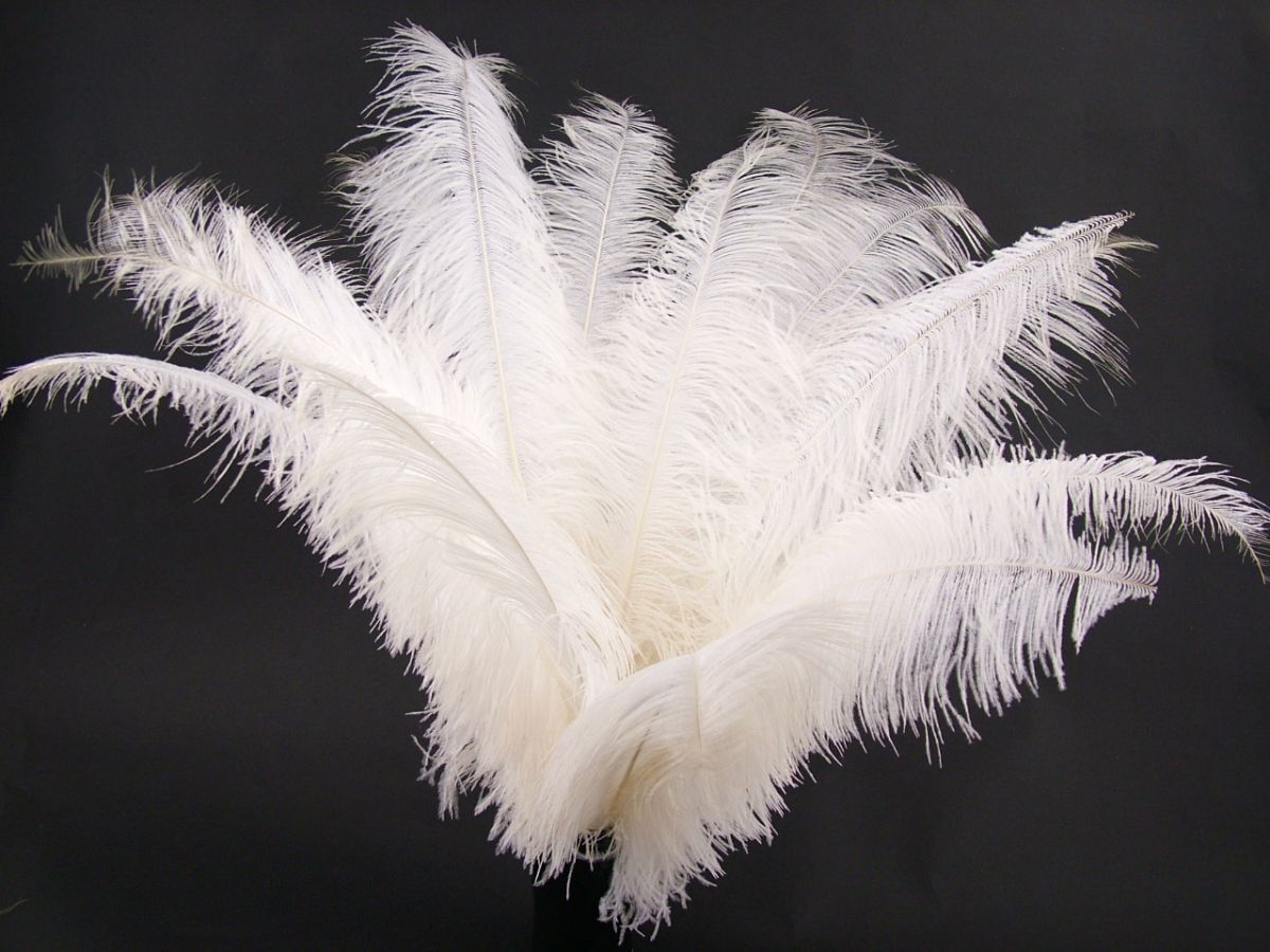 12 pcs White Ostrich feather plume 18-24 inch ,