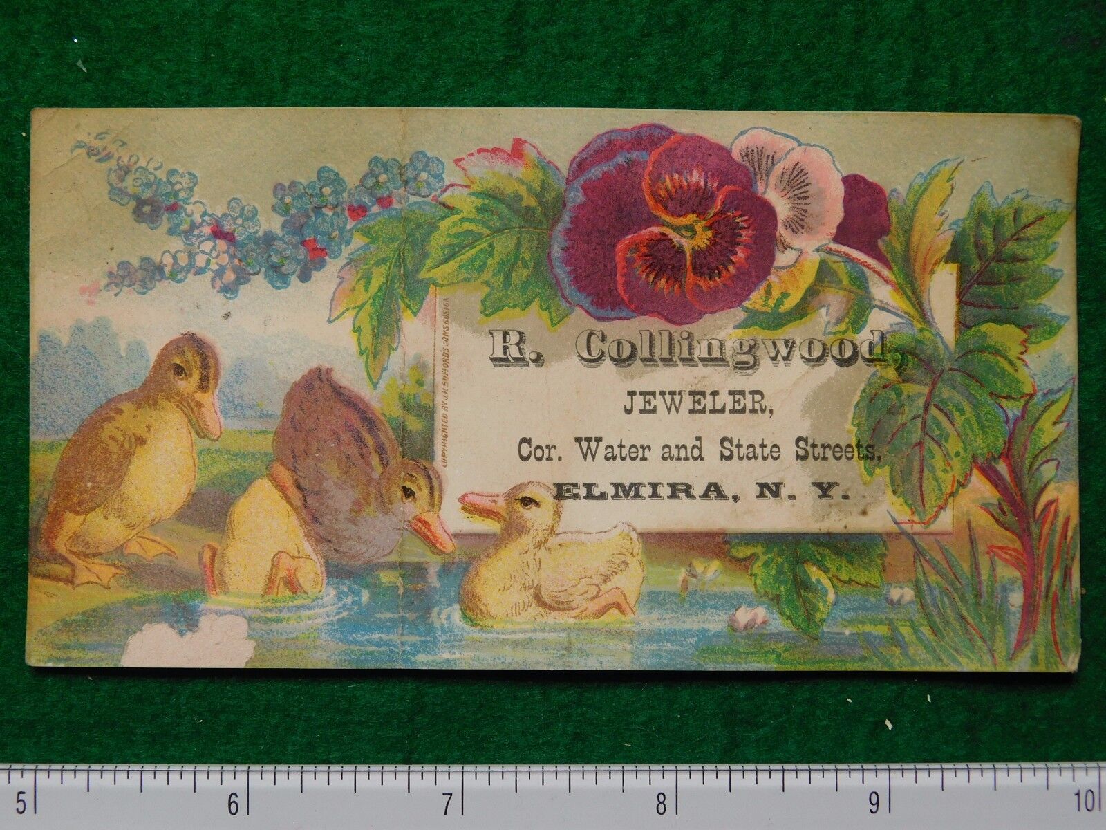 1870s-80s R Collingwood Jeweler Elmira NY Ducks at Pond Victorian Trade Card F28