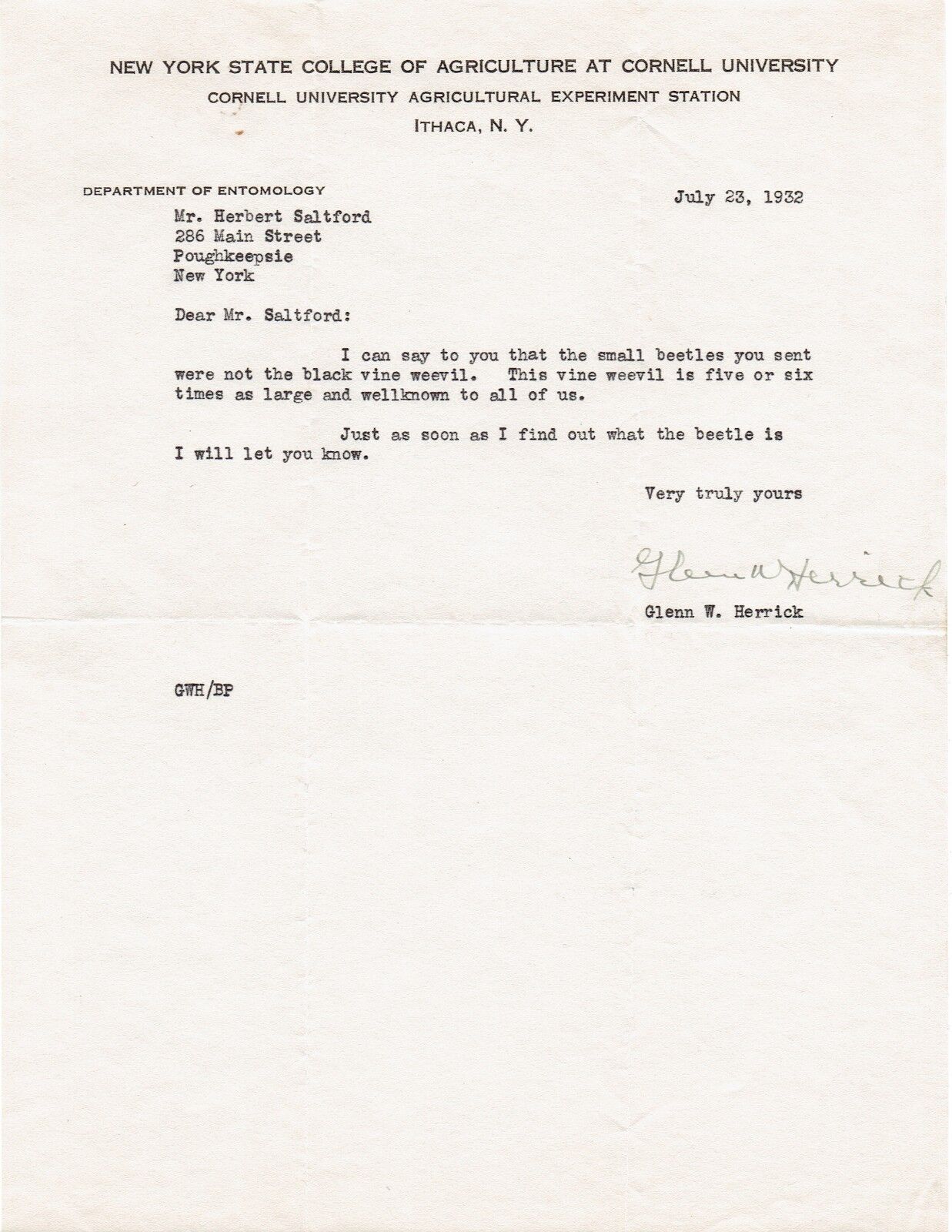 1932 TYPED LETTER about a beetle SIGNED by entomologist GLENN W. HERRICK