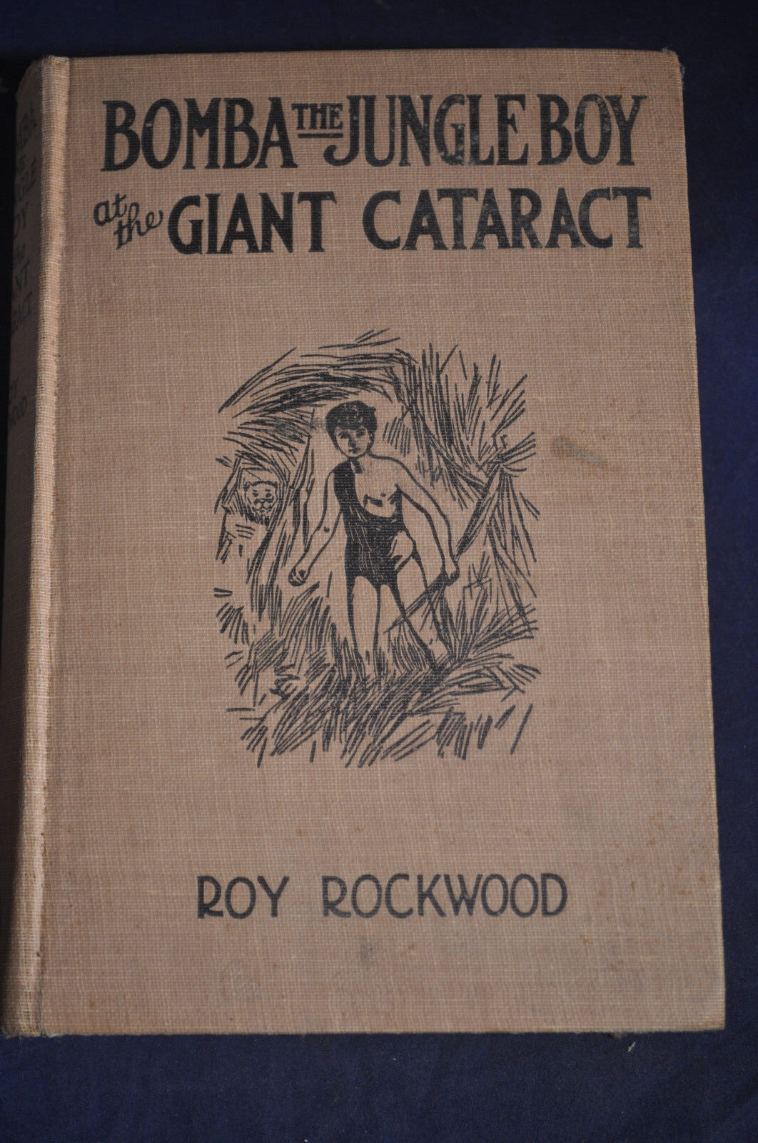 1926 *FIRST* Bomba the Jungle Boy at the Giant Cataract