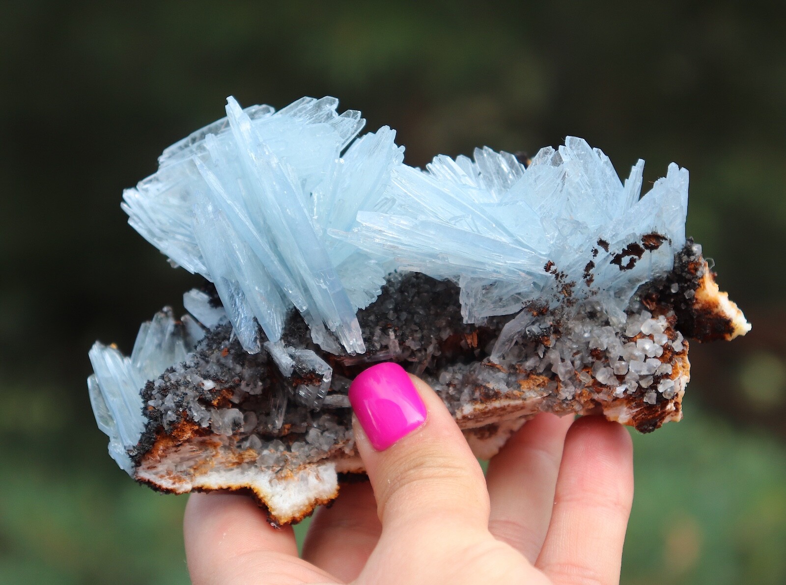 Blue Barite Blades On Matrix - Morocco Cabinet Size 12.7 Cm's