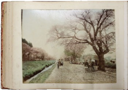 Kusakabe Kimbei Meiji Hand-Colored Photo Album w/Ivory Inlay, 47 Photos Japan Kusakabe Kimbei Meiji Hand-Colored Photo Album w/Ivory Inlay, 47 Photos Japan