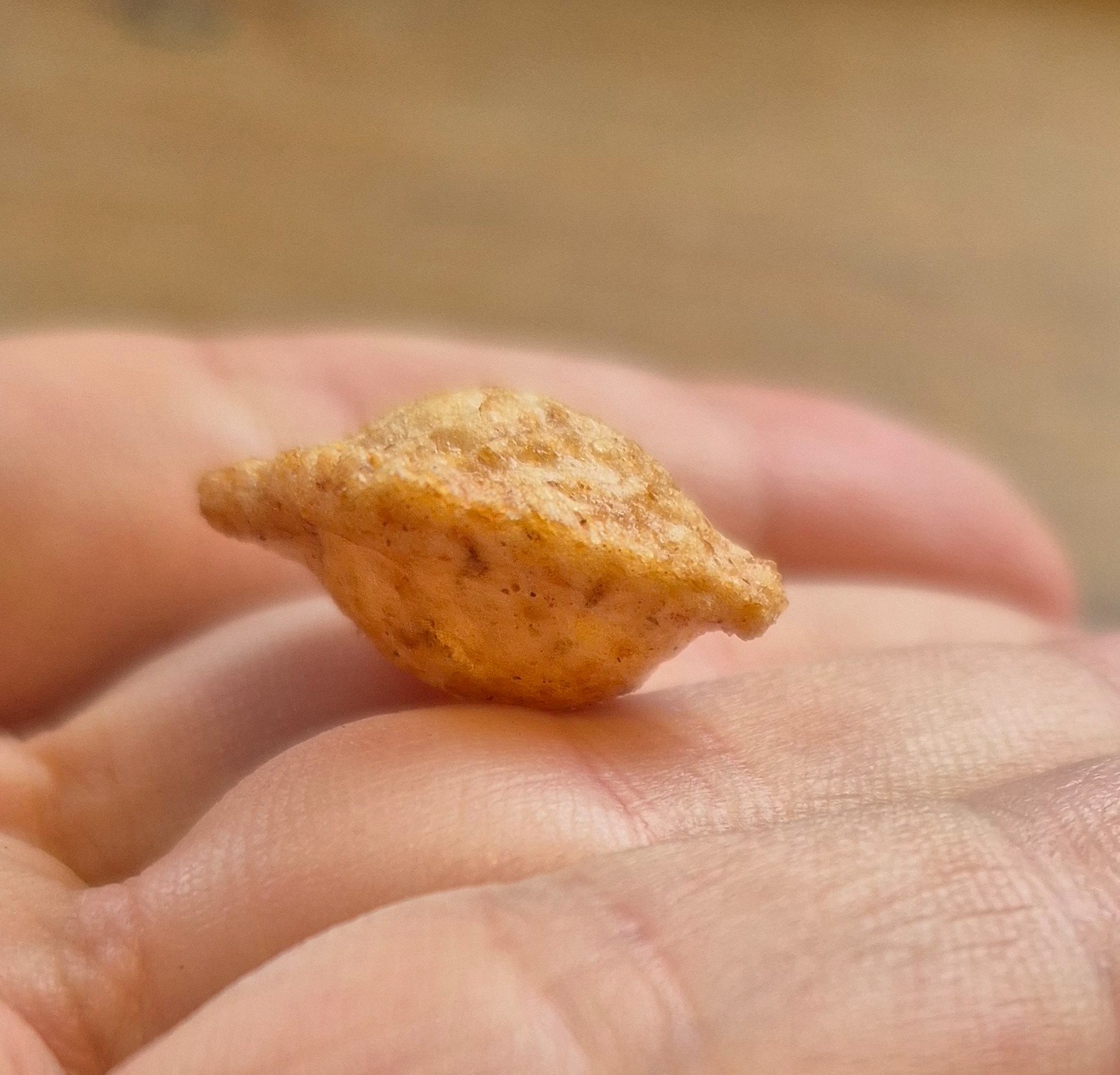 RARE OPPERTUNITY Once-in-a-lifetime Puffy Cinnamon Toast Crunch Cereal RARE OPPERTUNITY Once-in-a-lifetime Puffy Cinnamon Toast Crunch Cereal