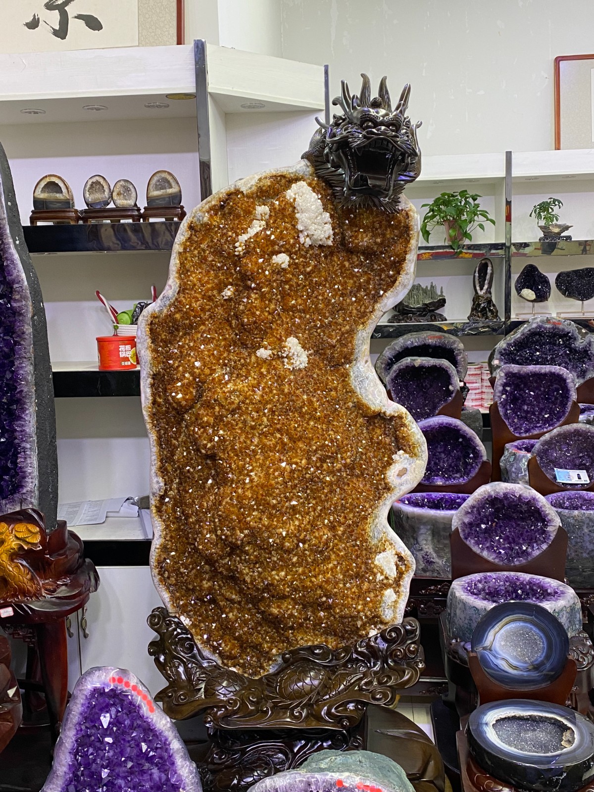 1100LB Rare Natural Citrine Quartz Crystal Cluster flowers Reiki decor + Stand 1100LB Rare Natural Citrine Quartz Crystal Cluster flowers Reiki decor + Stand