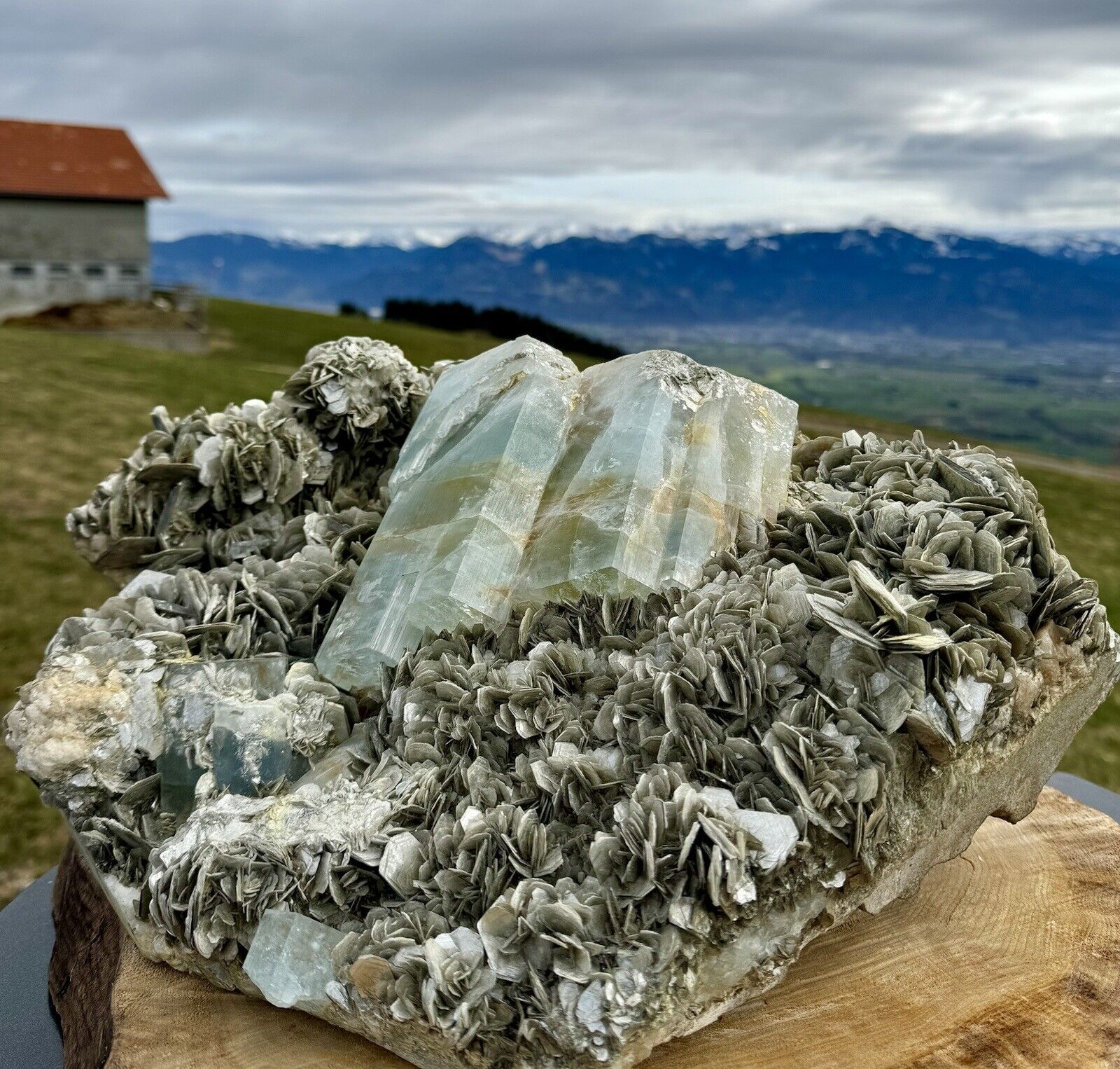 Aquamarine and Muscovite - A Symphony in Mineral