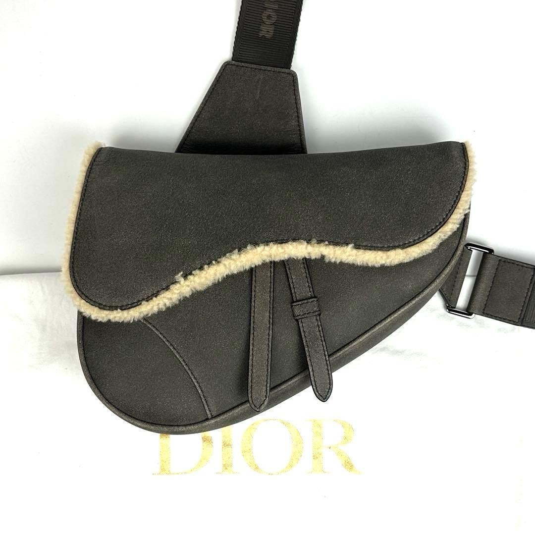 Polar Dior Saddle Shoulder Bag Body Mutton Leather Dior Women Rare Luxury Design Polar Dior Saddle Shoulder Bag Body Mutton Leather Dior Women Rare Luxury Design