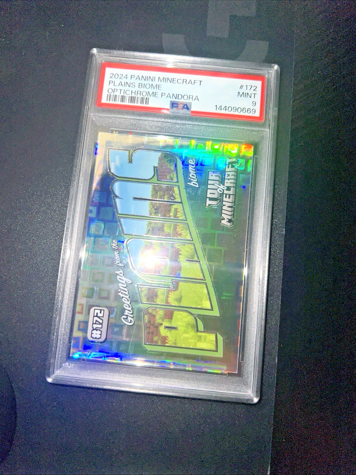 PSA 9 Panini Minecraft #7/15 Greetings From the Plains Biome pandora (POP 1) PSA 9 Panini Minecraft #7/15 Greetings From the Plains Biome pandora (POP 1)