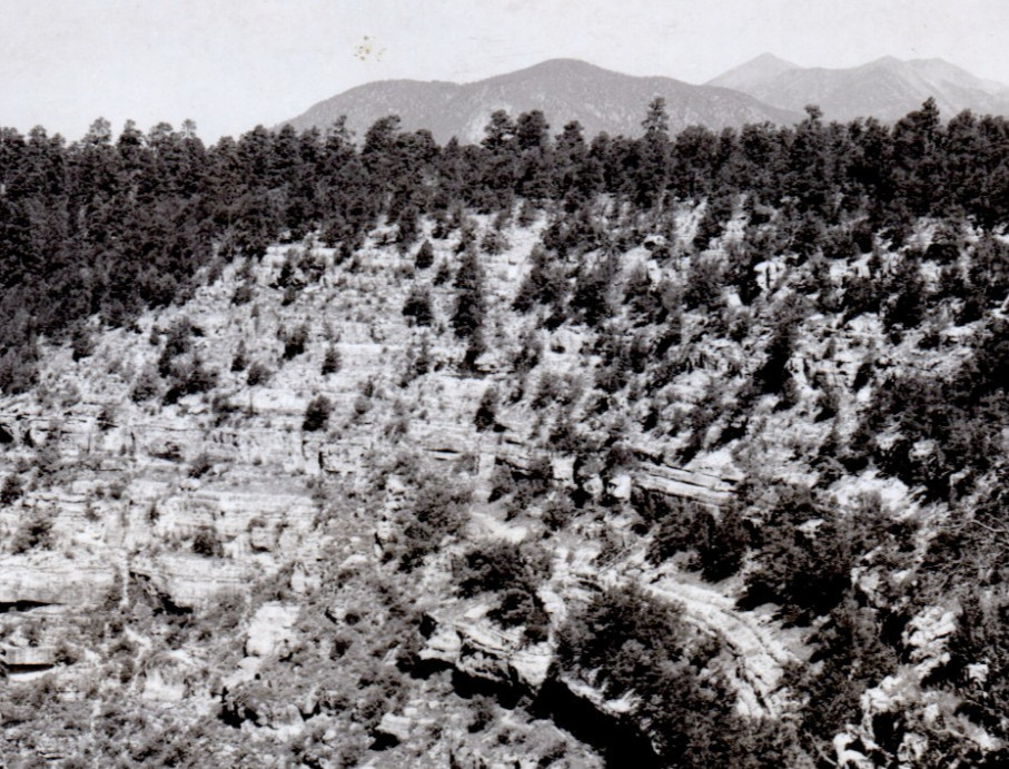 1938 View Up Walnut Canyon Observation Point Arizona RPPC Frashers Inc Postcard 1938 View Up Walnut Canyon Observation Point Arizona RPPC Frashers Inc Postcard