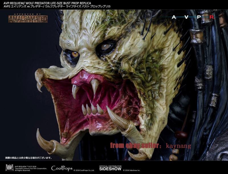 Sideshow × CoolProps 903360 Wolf Predator Life Size Bust 1/1 Scale Model Statue Sideshow × CoolProps 903360 Wolf Predator Life Size Bust 1/1 Scale Model Statue
