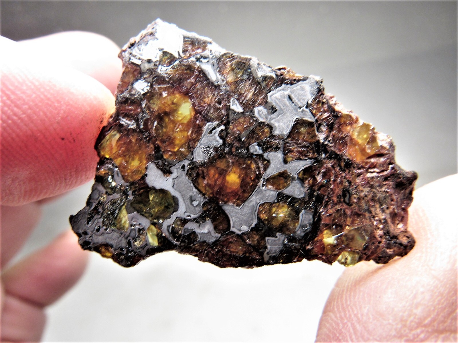NEWEST NWA PALLASITE GORGEOUS GLOWING CRYSTALS NWA 14492 METEORITE 7.4 GMS NEWEST NWA PALLASITE GORGEOUS GLOWING CRYSTALS NWA 14492 METEORITE 7.4 GMS