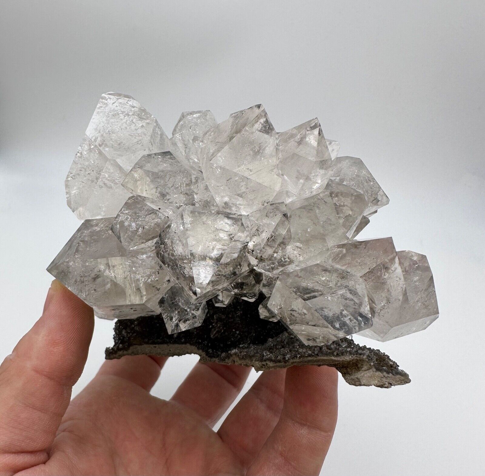 MUSEUM Grade Genuine Herkimer Diamond BLACK Druze / Druzy Plate 