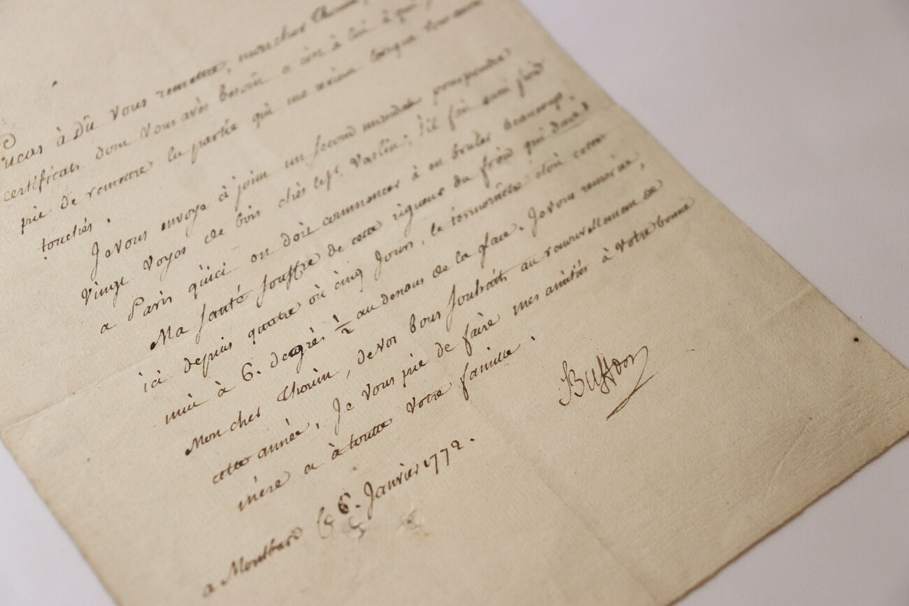 ❤️ 1772 Comte de Buffon Letter Signed to Thouin Montbard Naturalist Sciences ❤️ 1772 Comte de Buffon Letter Signed to Thouin Montbard Naturalist Sciences