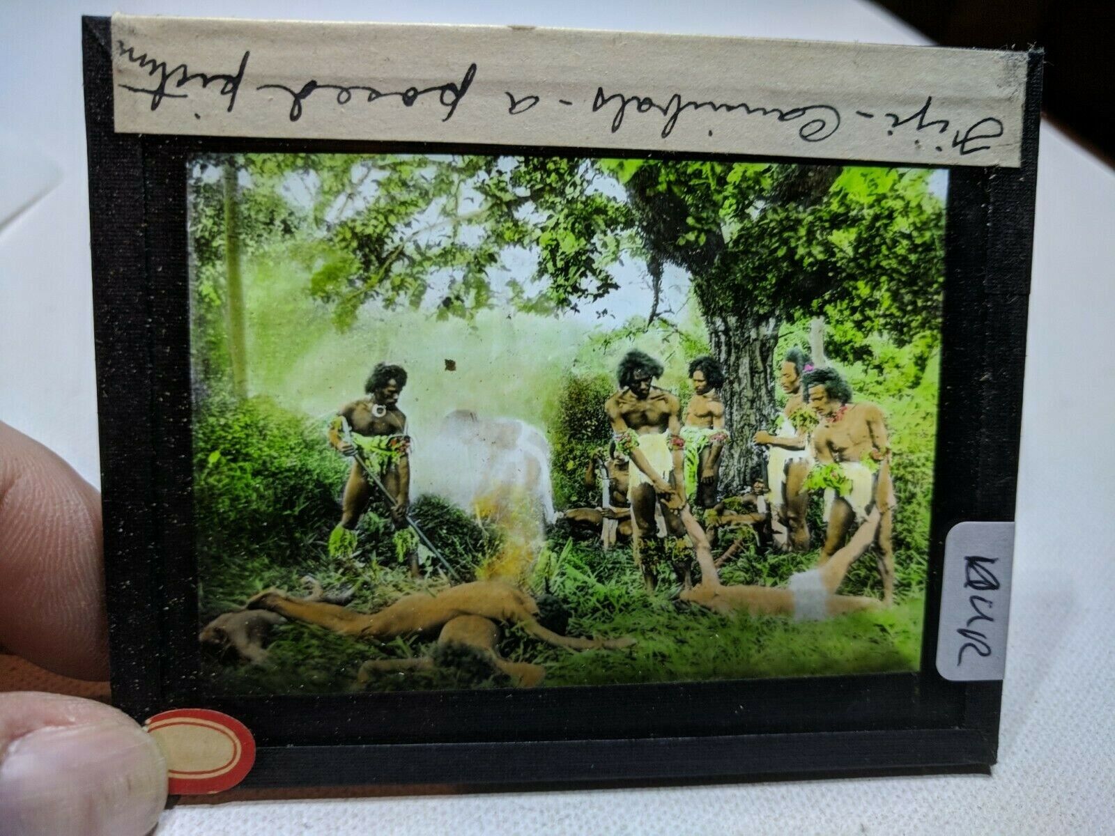 Colored Glass Magic Lantern Slide DUR FIJI NATIVES CANNIBALS POSED PICTURE WOW