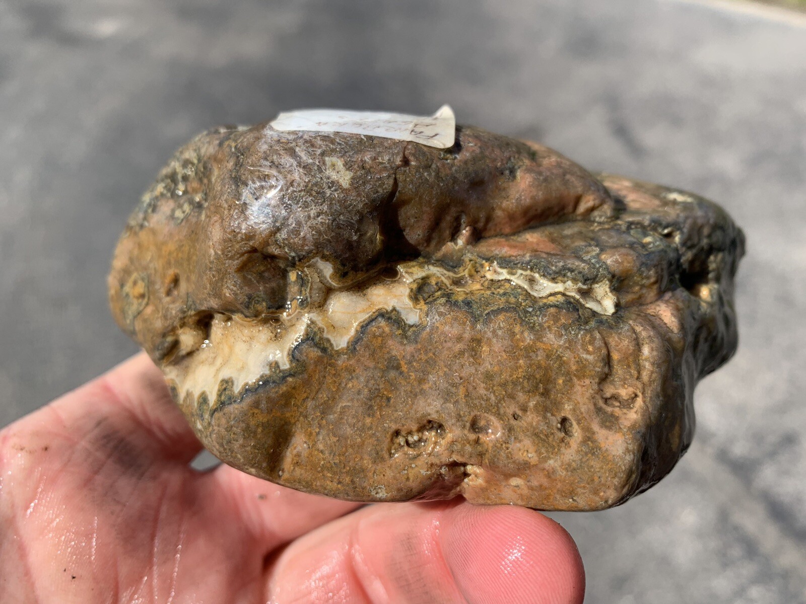 Huge 1lb 10oz Fairburn Agate from Nebraska. Collected In 1965 Huge 1lb 10oz Fairburn Agate from Nebraska. Collected In 1965