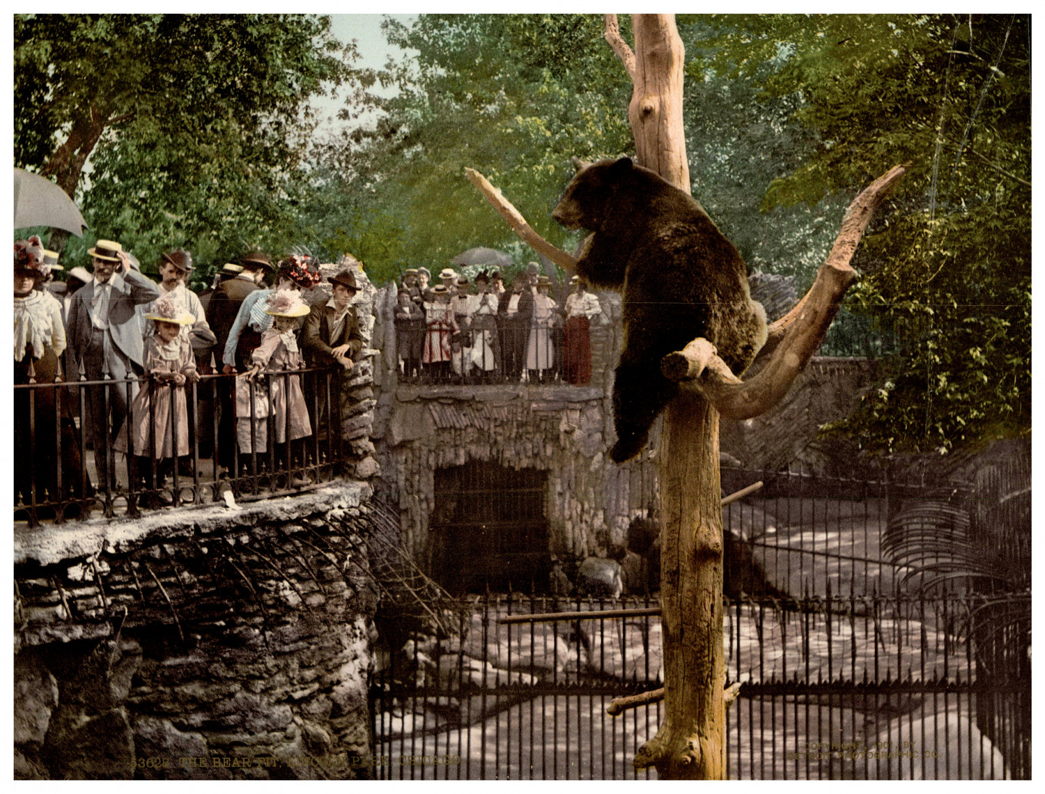 Illinois, Chicago, Lincoln Park, The Bear Pit Vintage photochrom print by Detroi Illinois, Chicago, Lincoln Park, The Bear Pit Vintage photochrom print by Detroi