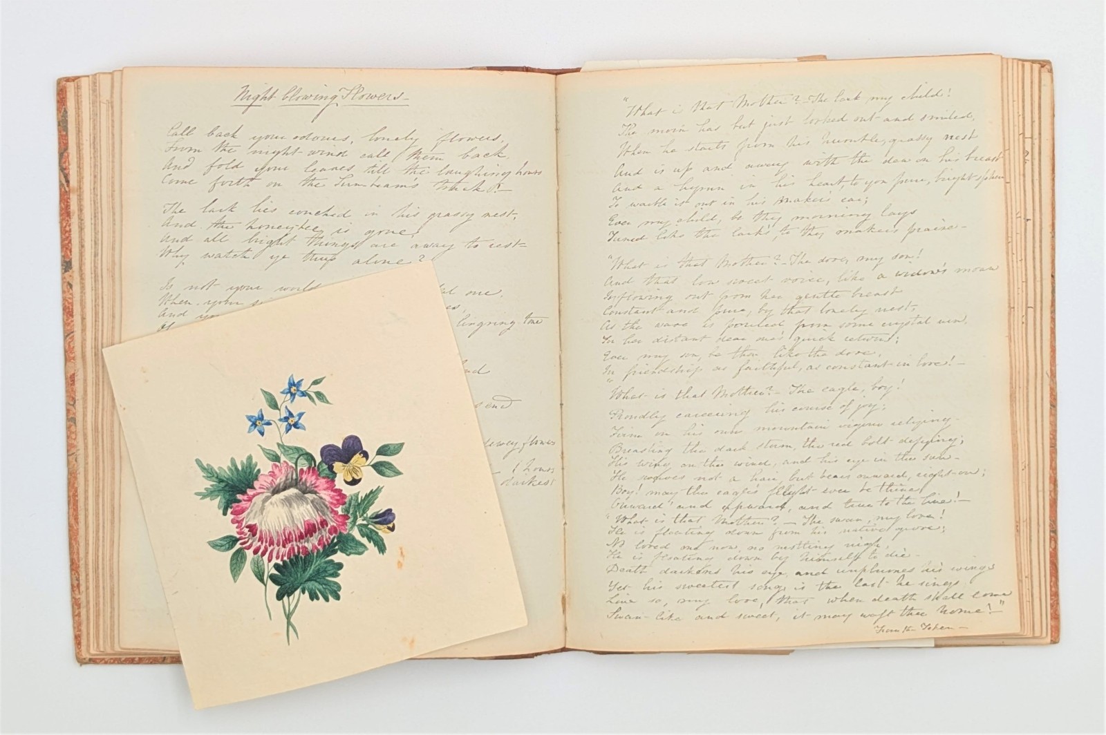 First Lady Jane Pierce manuscript notebook and journal President Franklin Pierce First Lady Jane Pierce manuscript notebook and journal President Franklin Pierce