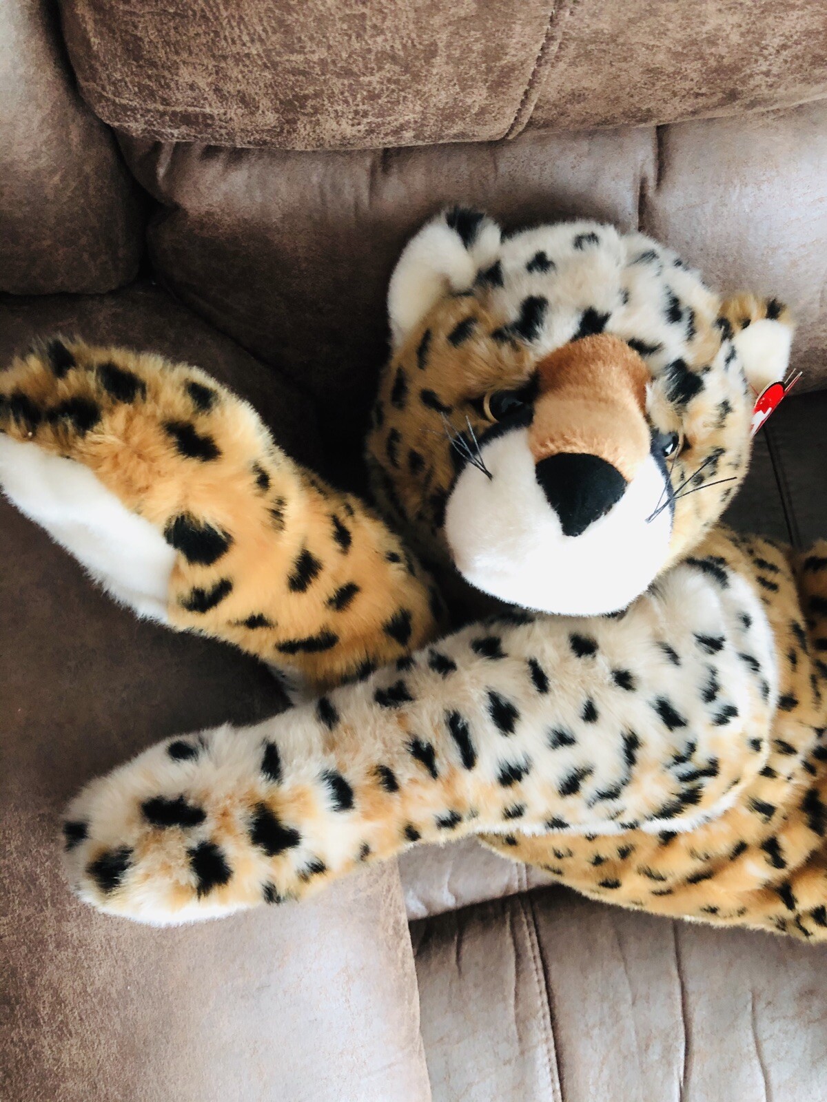 🐅 Ty _Supersonic_ 2004 with Love _ the True Tiger Rare Unique Jumbo Real Like 🐅 Ty _Supersonic_ 2004 with Love _ the True Tiger Rare Unique Jumbo Real Like