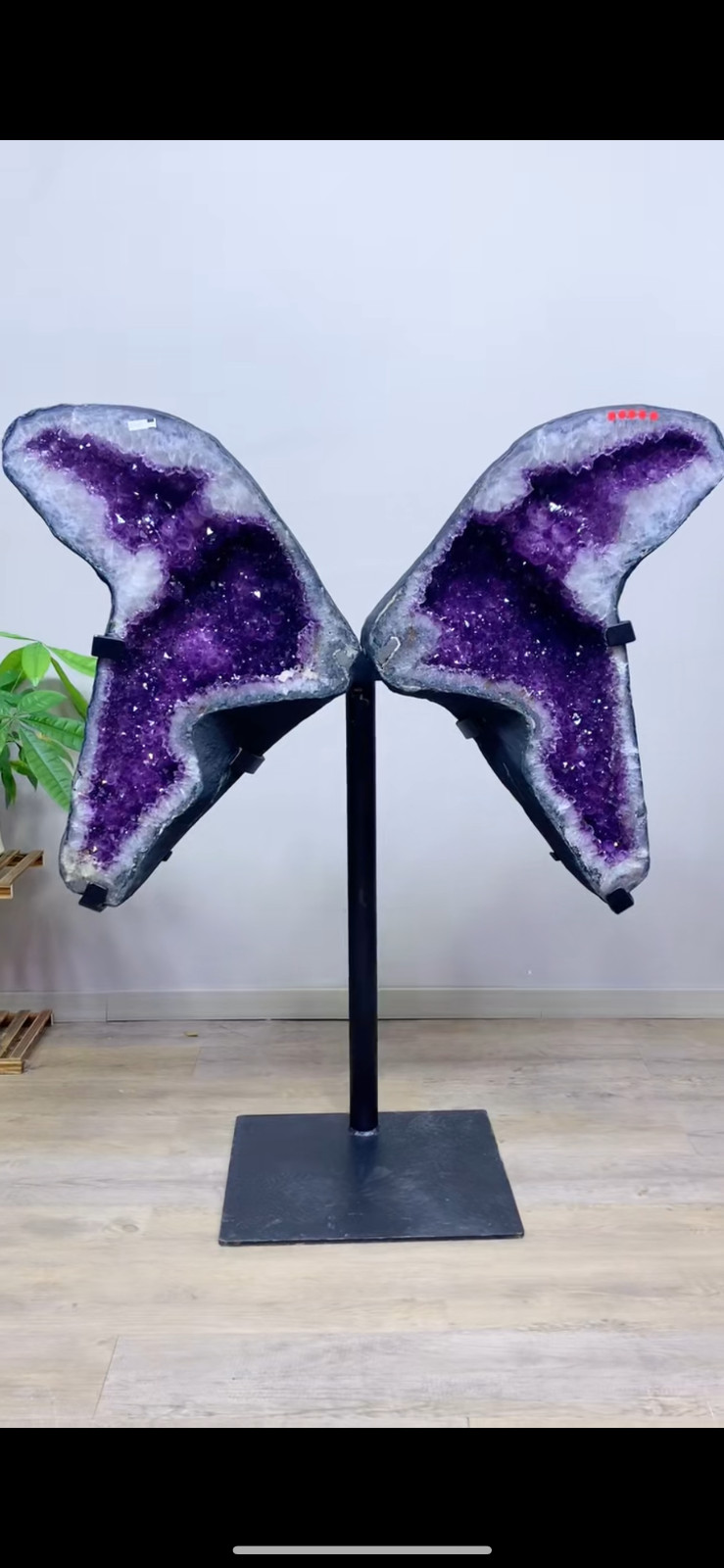 255LB TOP Natural Amethyst geode quartz crystal Butterfly Decoration+stand 255LB TOP Natural Amethyst geode quartz crystal Butterfly Decoration+stand