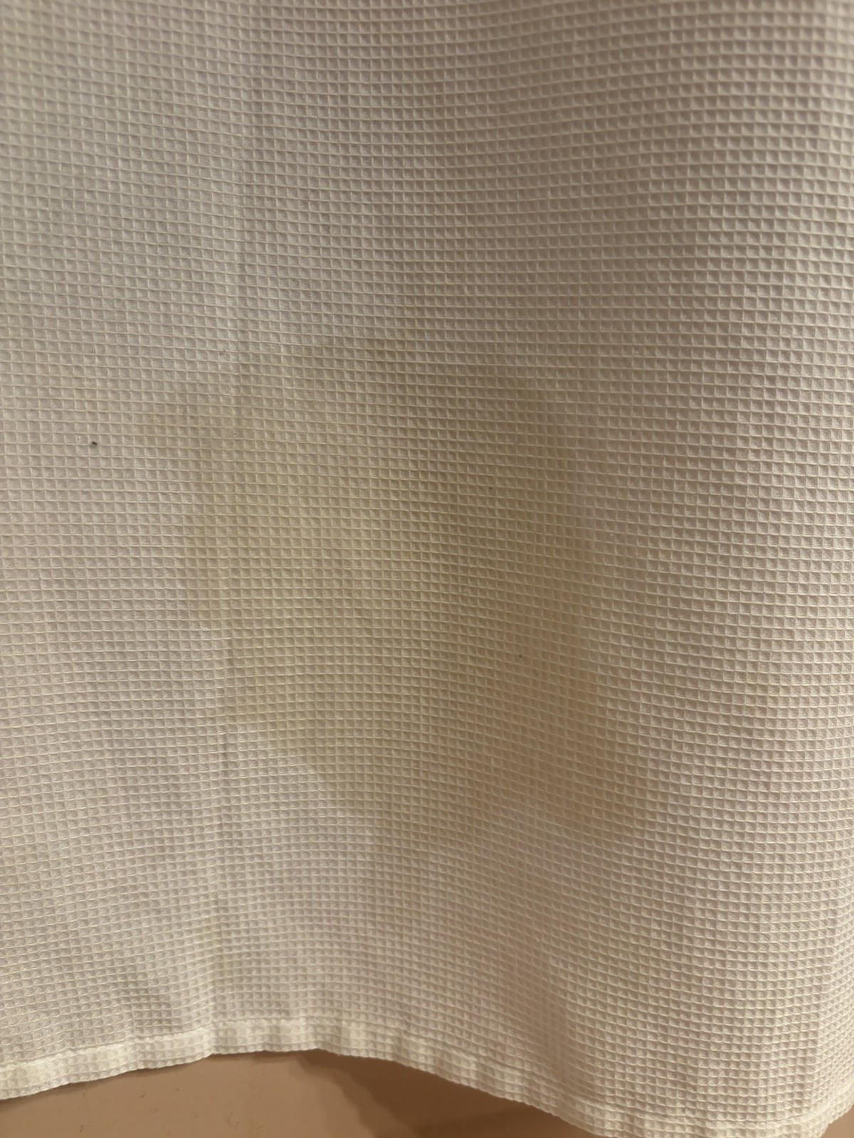 Shower Curtain with Oil Stain Resembling Donald Trump – Rare & Unbelievable