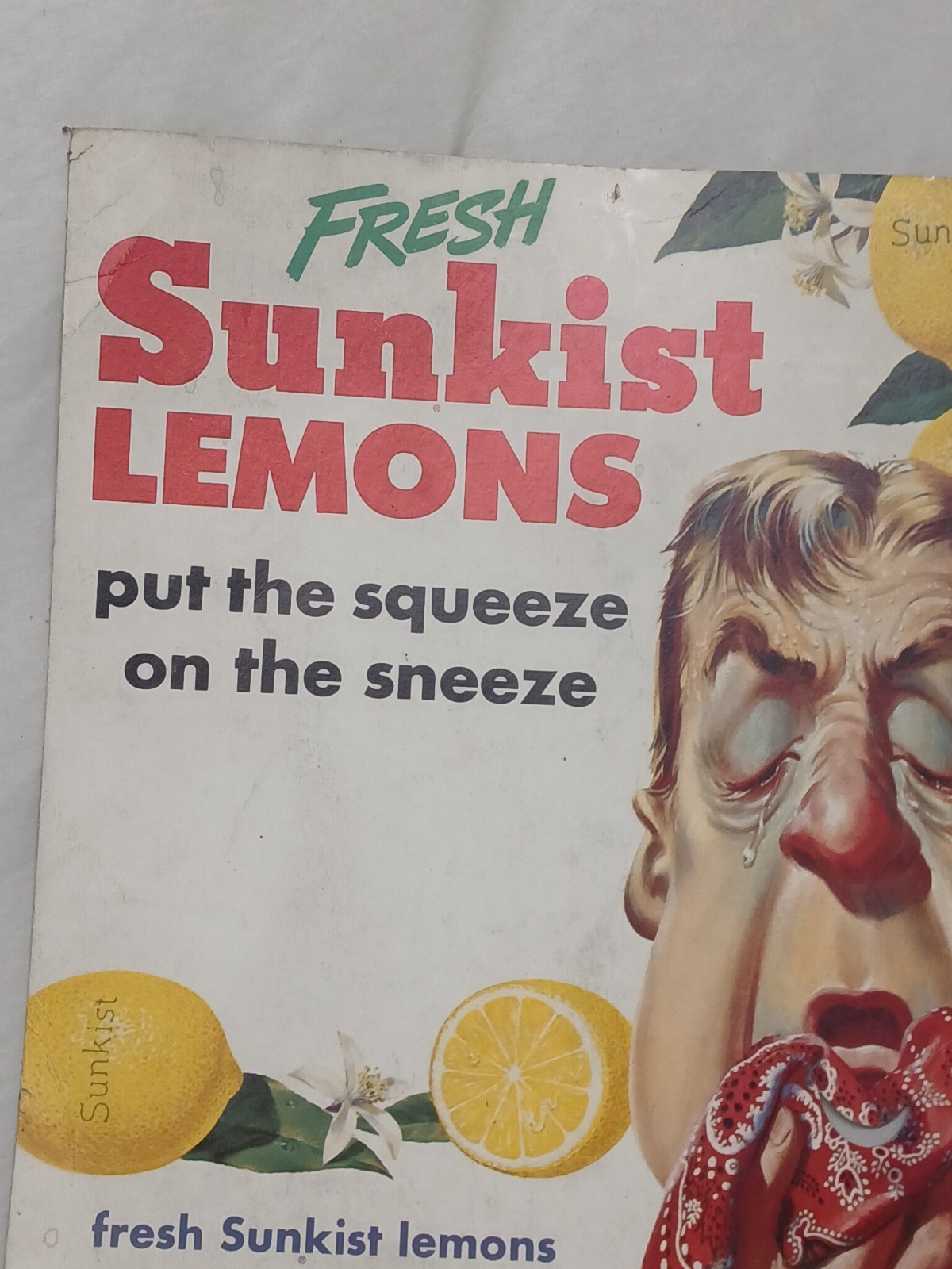 RARE Vintage 1950s Sunkist Lemons Store Display Unusual Sign Strange Litho 16x14 RARE Vintage 1950s Sunkist Lemons Store Display Unusual Sign Strange Litho 16x14