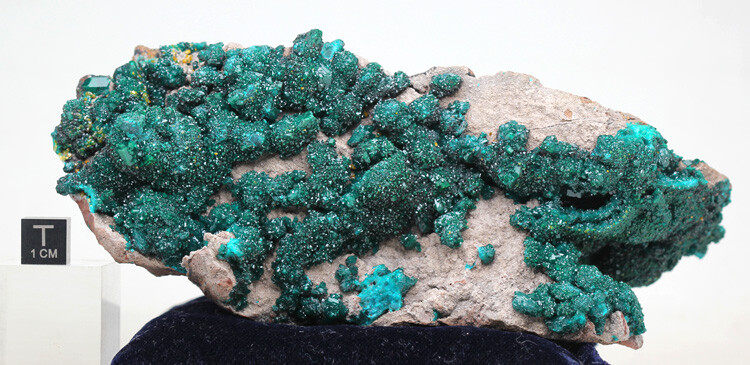 DIOPTASE WULFENITE Crystal Mineral Specimen Cluster Green Large Museum Quality DIOPTASE WULFENITE Crystal Mineral Specimen Cluster Green Large Museum Quality