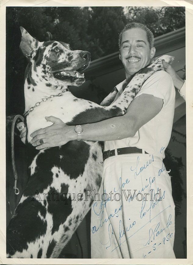 Brazil singer Silvio Caldas Great Dane dog signed photo to boxer Joe Louis 1950 Brazil singer Silvio Caldas Great Dane dog signed photo to boxer Joe Louis 1950