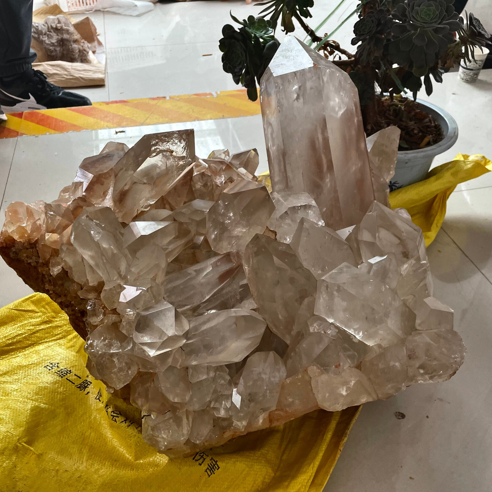 170LB TOP Natural Clear Quartz Cluster Quartz Crystal Point vug Specimen Healing 170LB TOP Natural Clear Quartz Cluster Quartz Crystal Point vug Specimen Healing