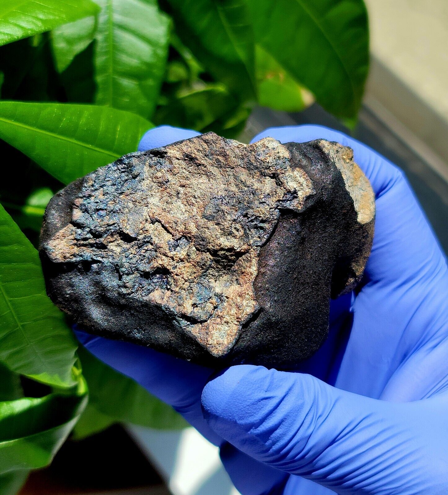 Meteorite**Georgia, Junction City**231.40 gram Fresh Individual, Witnessed Fall