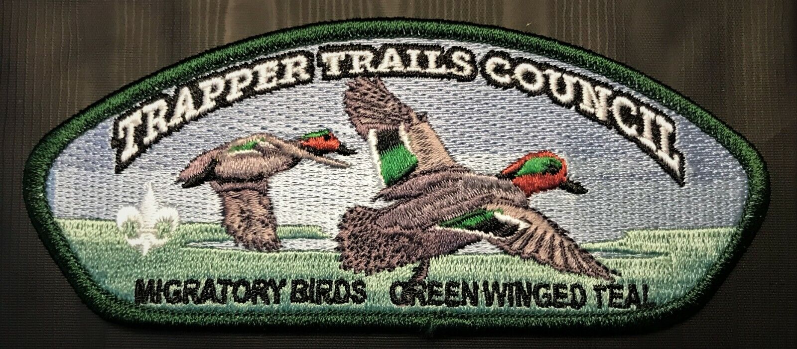 MERGED TRAPPER TRAILS  BSA OA LODGE 535 MIGRATORY BIRDS GREENWINGED TEAL CSP 