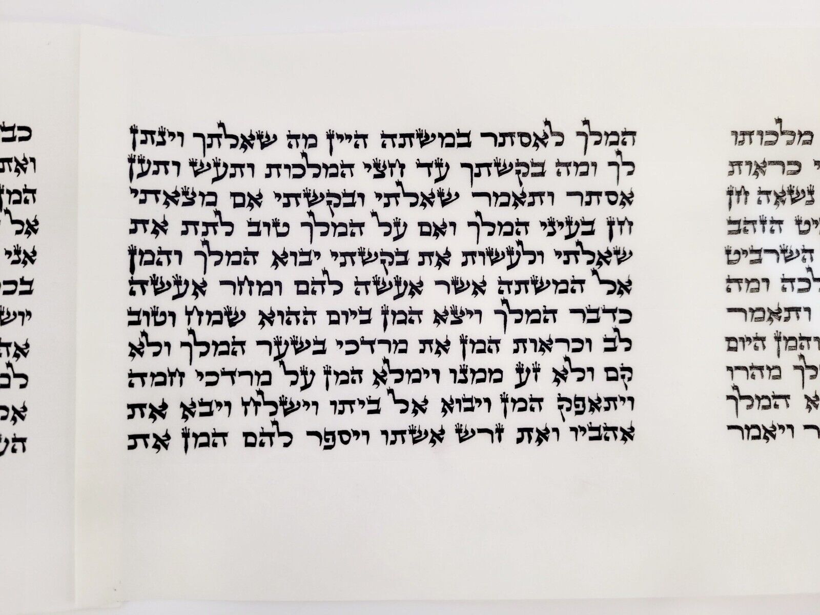 New Megillah Jewish Megillat Ester Purim ashkenazi  with case gift 15 cm E-26