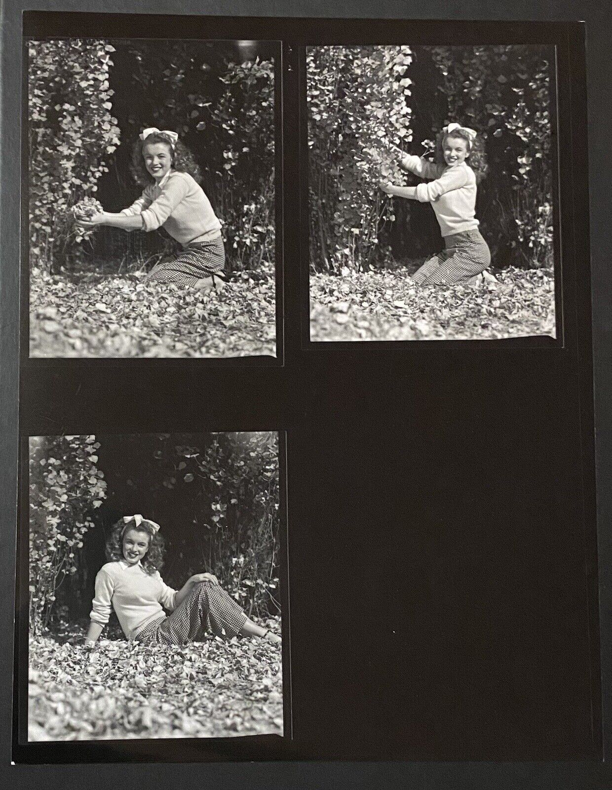 1945 Marilyn Monroe Original Photo Contact Sheet Andre Dienes Stamped Autumn