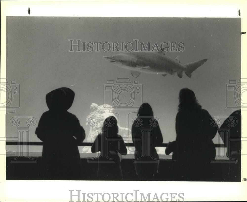 1988 Press Photo Spectators View Shark At Sea World Exhibit On Opening Day