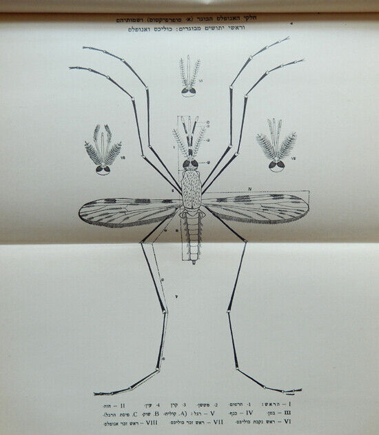 1930 MALARIA IN PALESTINE ERETZ ISRAEL ANOPHELES MOSQUITO CONTROL MEDICINE MAPS
