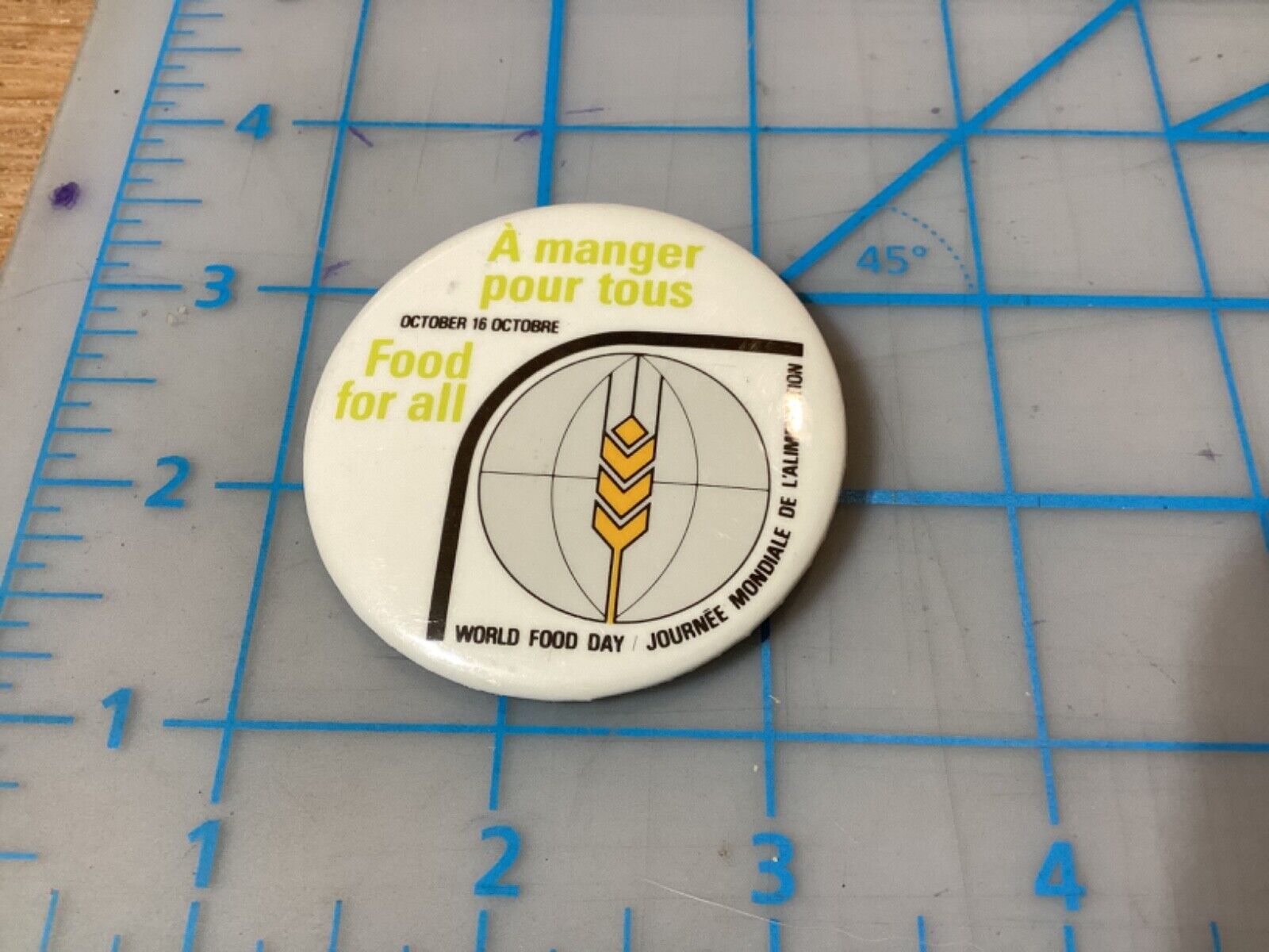 A Manager Food for All World Food Day Button Pin (F)