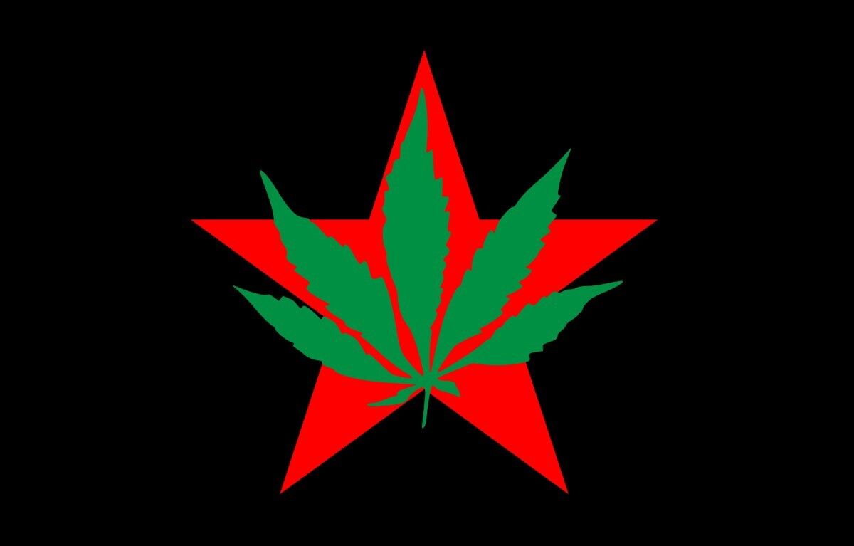 YIPPIE Flag, Abbie Hoffman, Jerry Rubin, Youth International Party, Marijuana, 