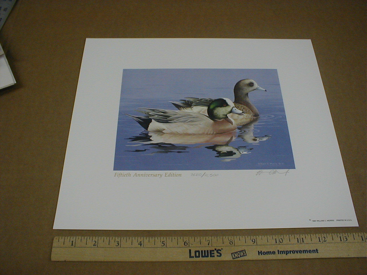 William Morris Federal Migratory Waterfowl Painting Stamp 1984 Duck Print stamp